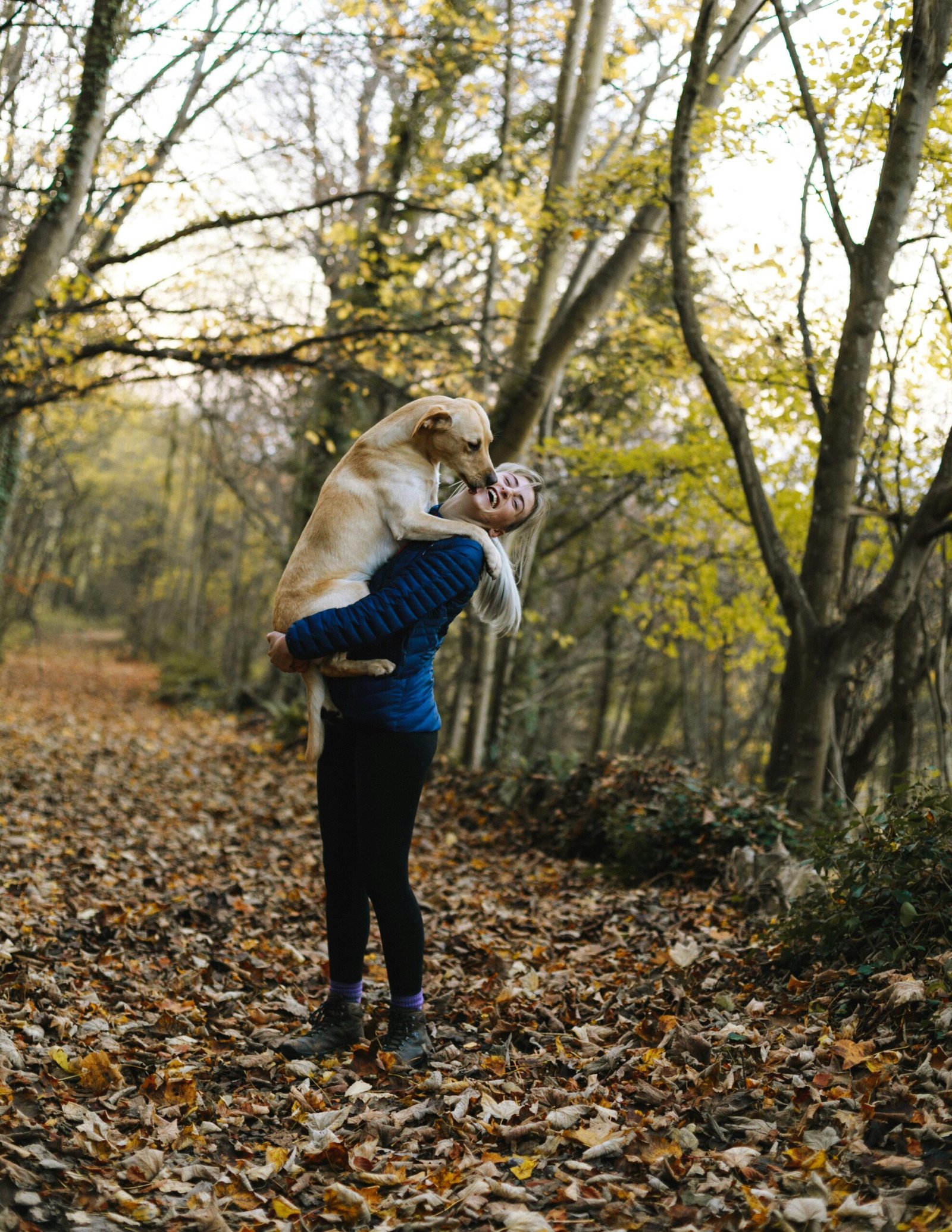 Hund das anspringen abgewöhnen